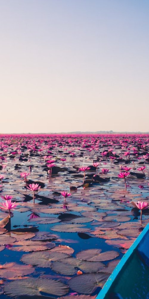 Tranquil tram in Udon Thani during off-peak hours