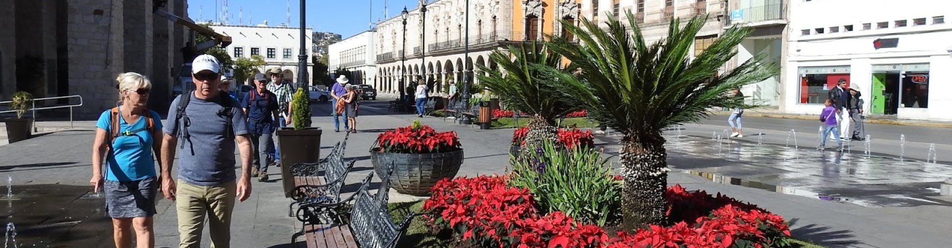 Night tram gliding on Durango cobblestones