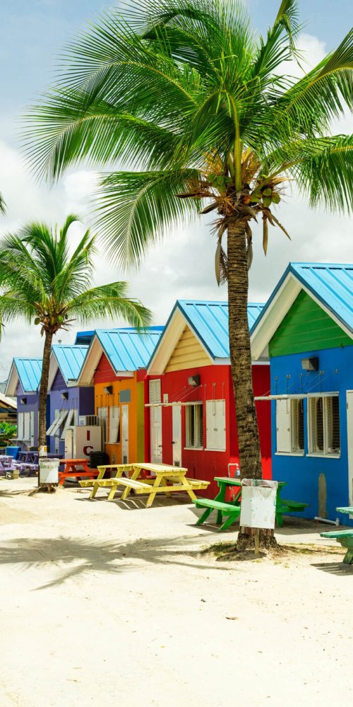 Passenger navigating Barbados metro during off-peak hours