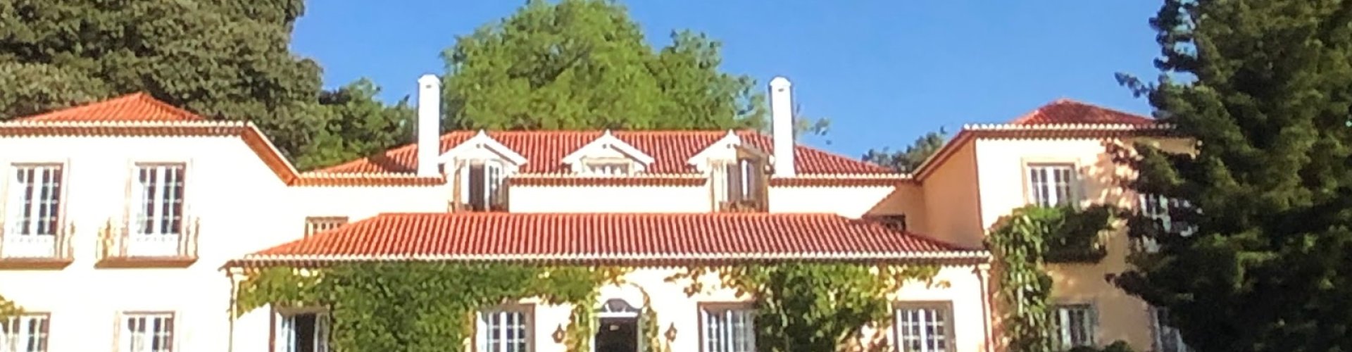 Night tram gliding over cobblestones in Madeirã