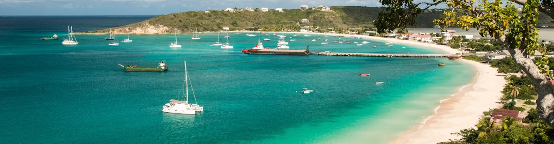 Busy Anguilla transit hub with trams and passengers