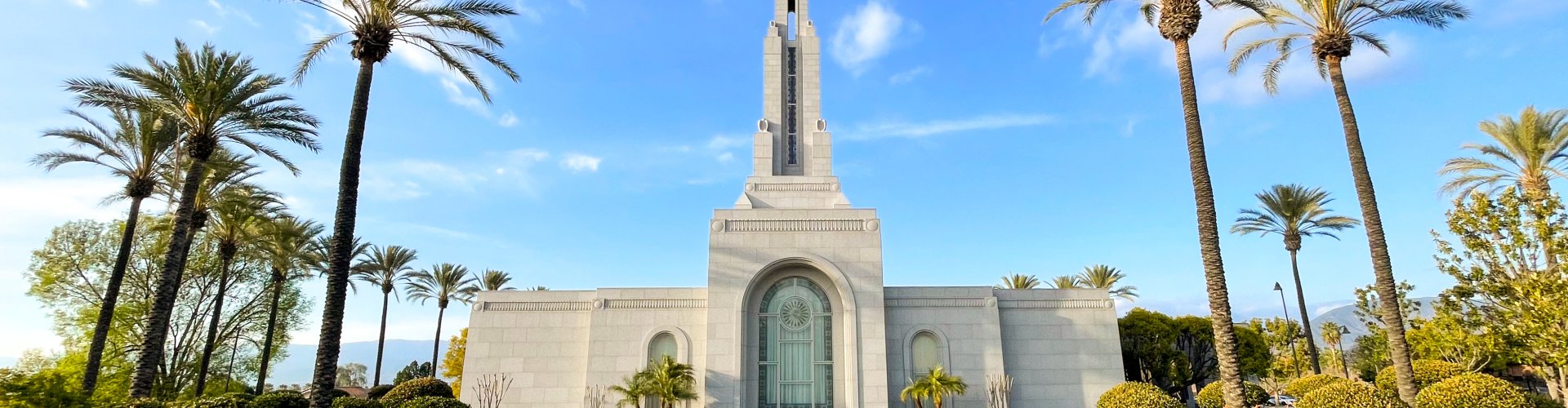 Night tram gliding over cobblestones in Redlands