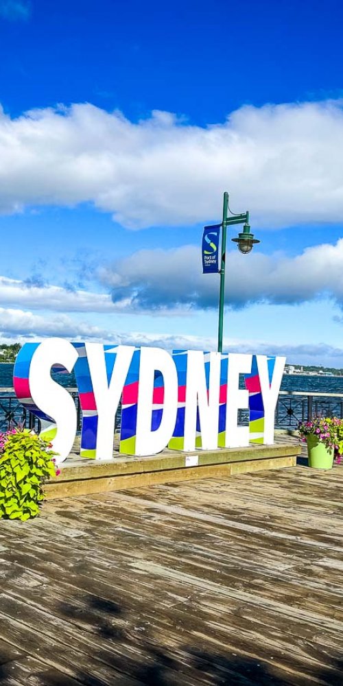 Sydney tram at sunset