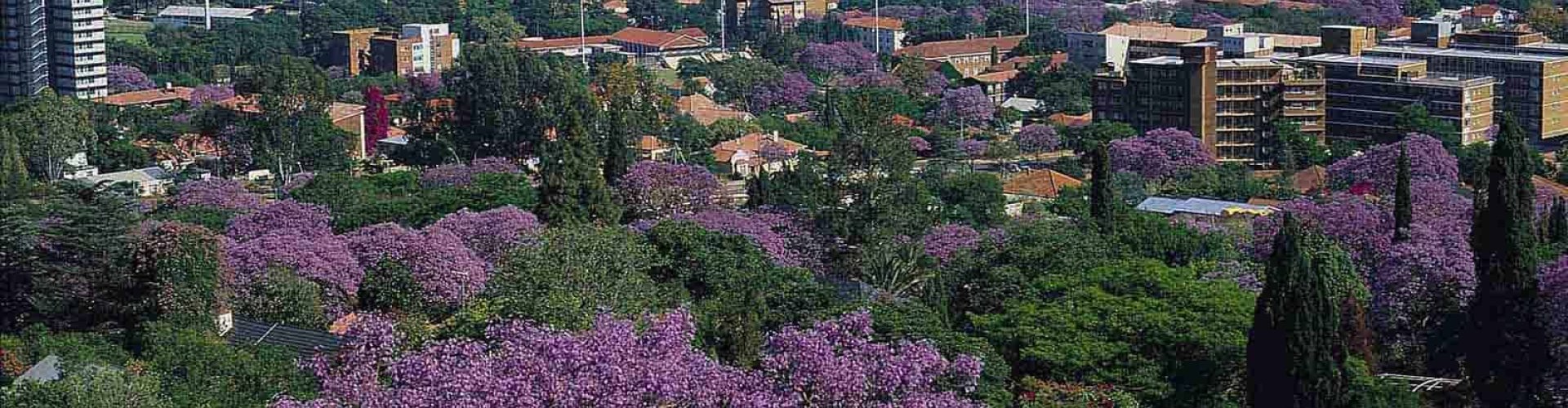 Pretoria Metro Station platform bustling with commuters