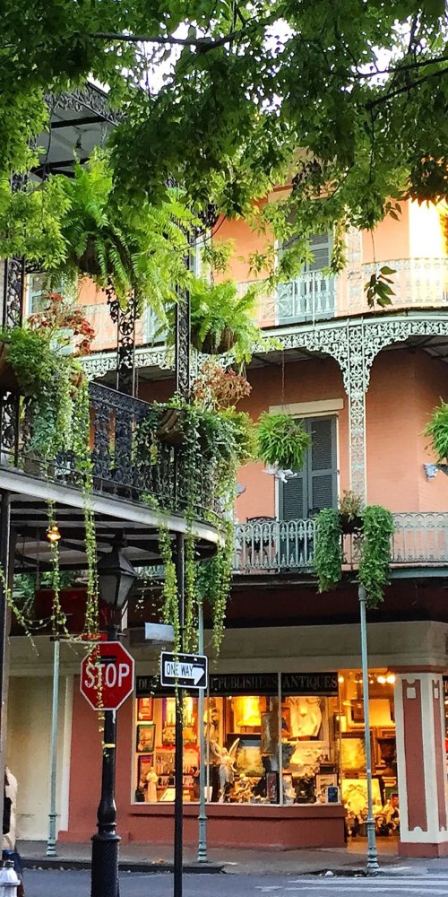 Quiet New Orleans streetcar gliding past historic buildings