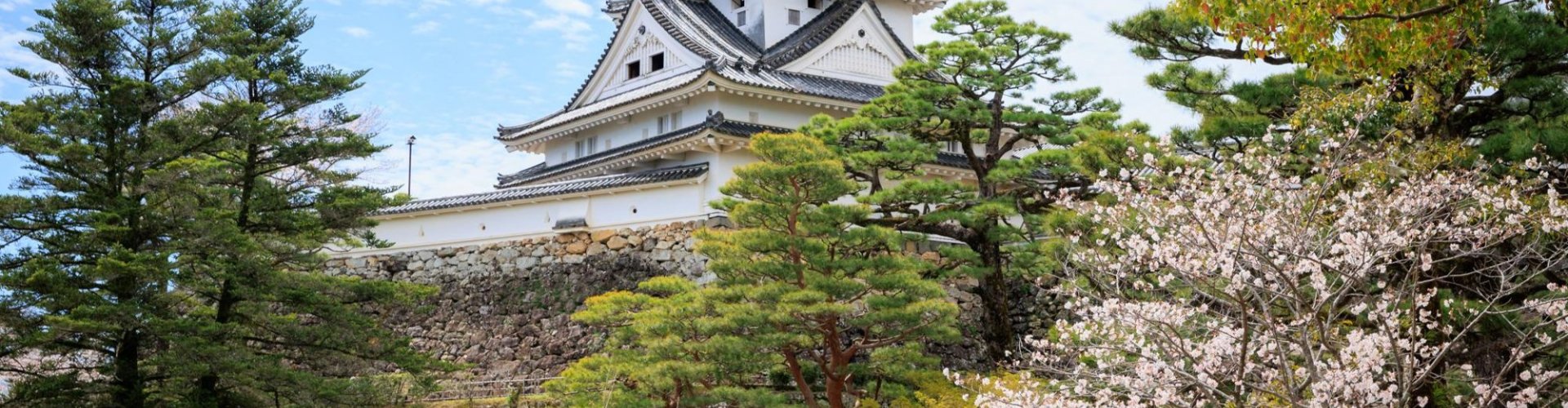 Busy Kochi metro station with travellers