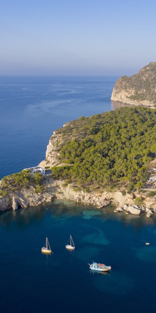 Coronado tram interior during off-peak hours