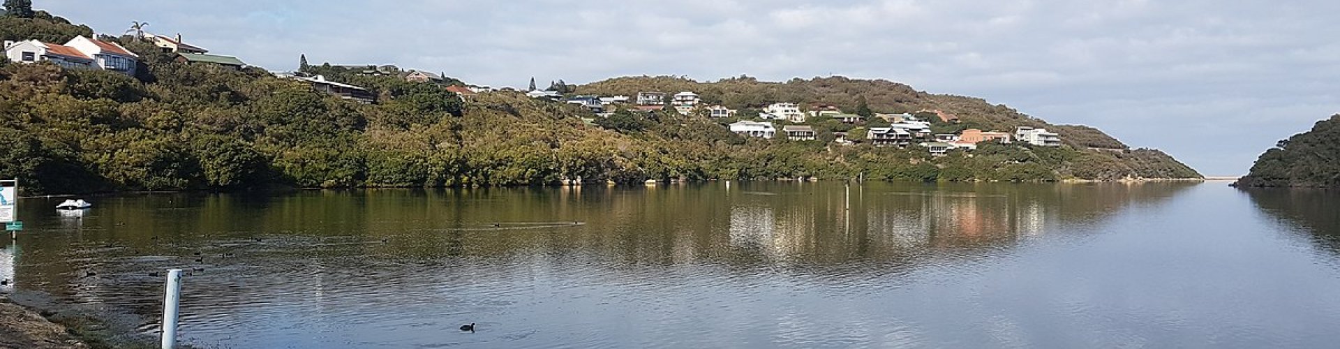 Busy Sedgefield transit hub with trams and commuters