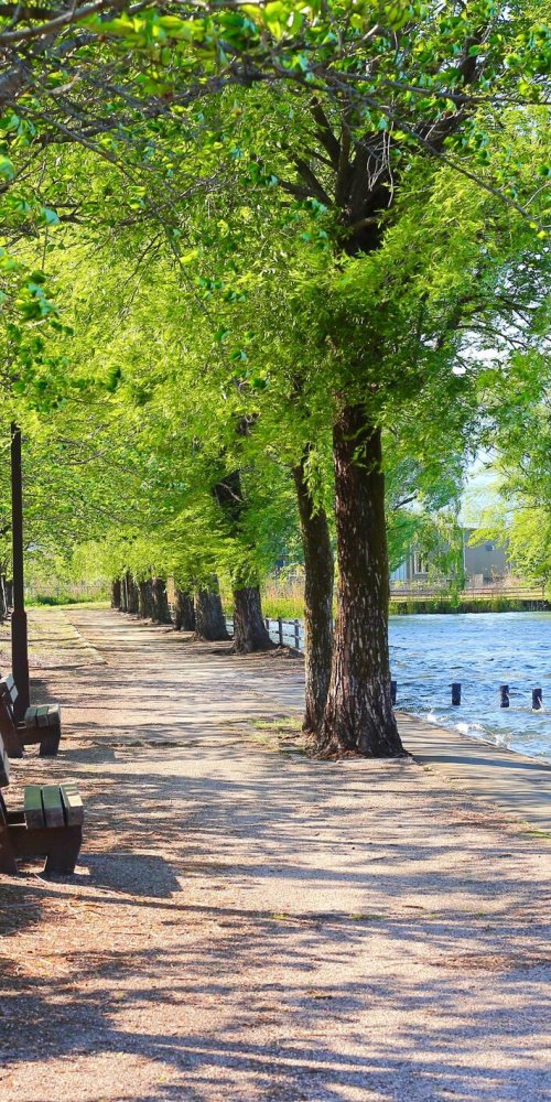 Passenger waiting during off-peak hours in Coral Springs