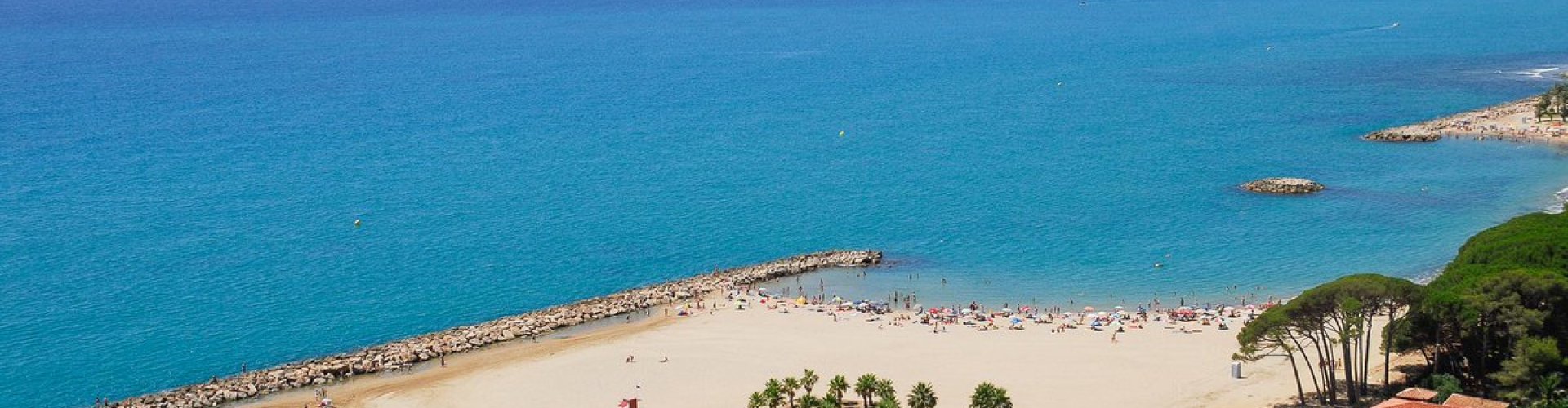 Cambrils tram passing vibrant street mural