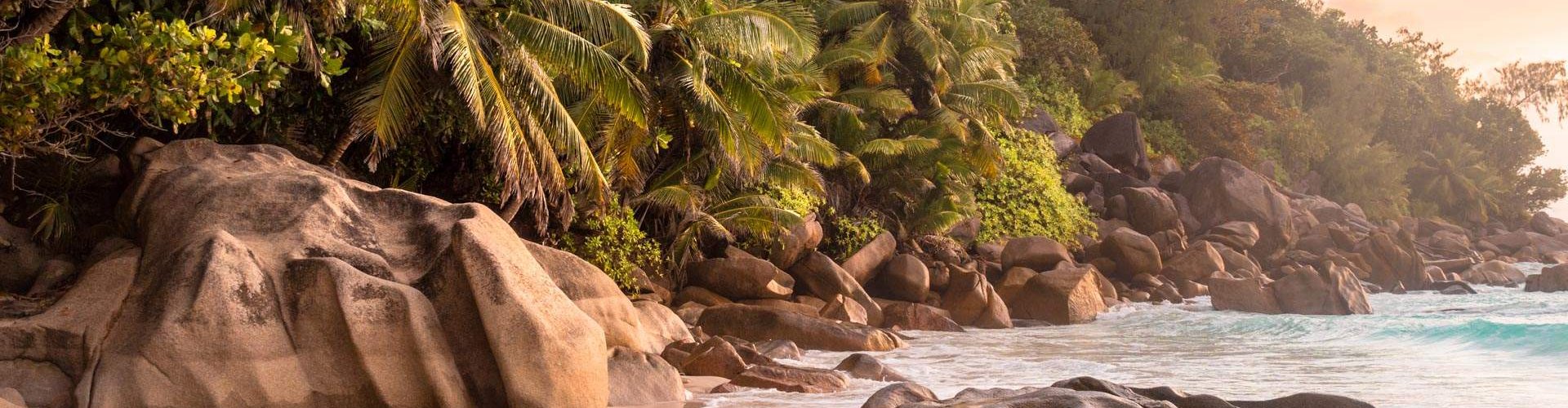 Praslin street tram and commuters