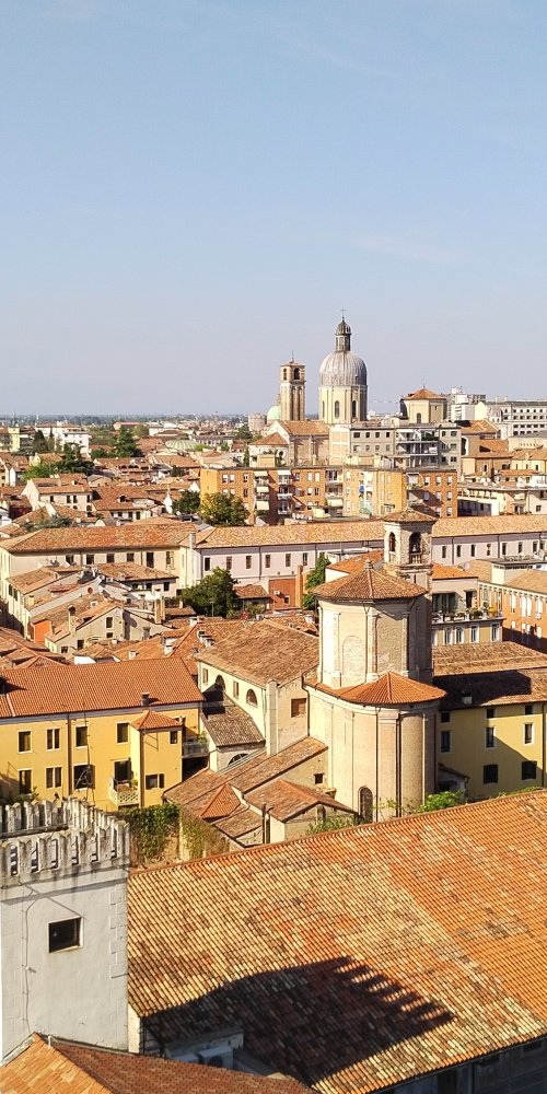 Passenger boarding tram Padua