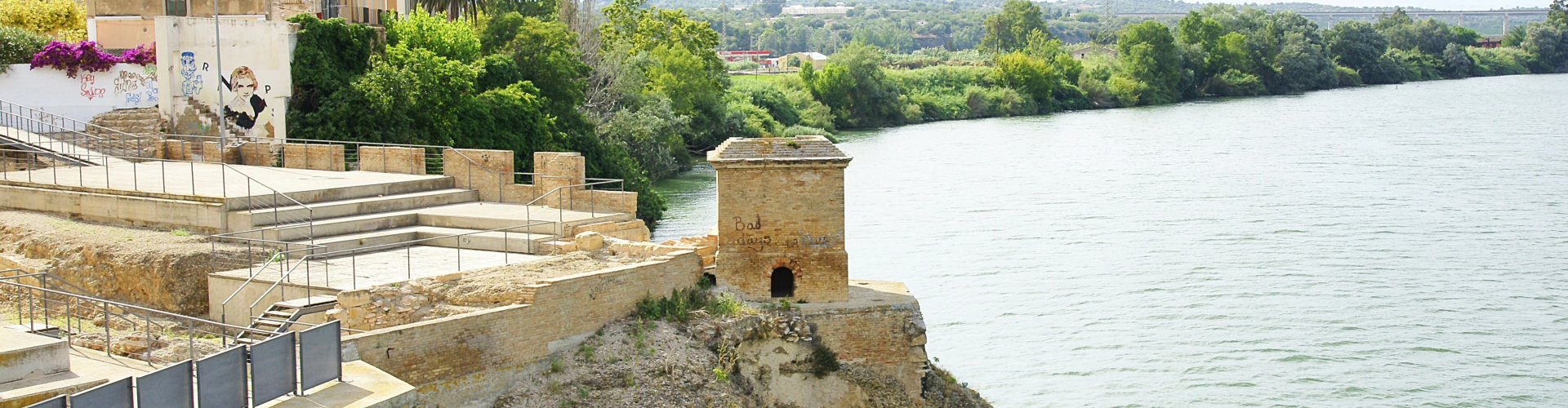 Night tram gliding on Amposta cobblestones