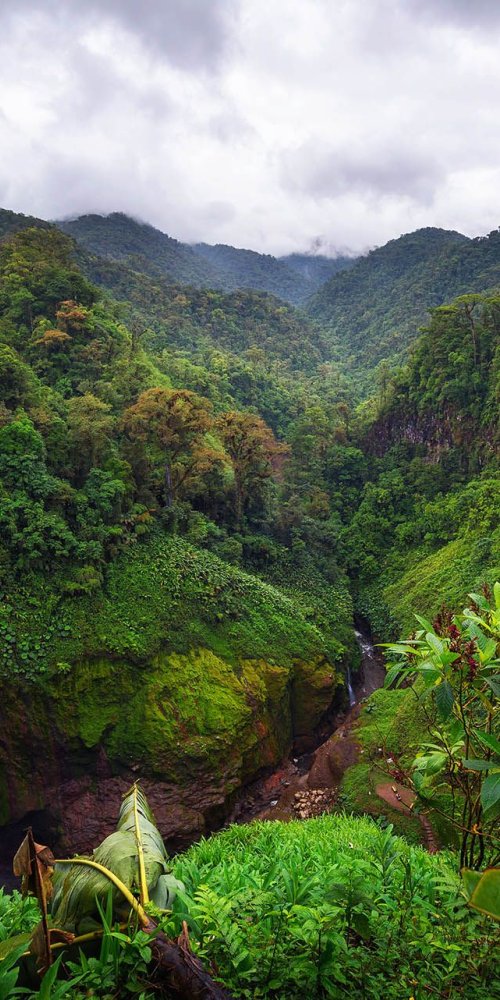 Tram at sunset in Alajuela