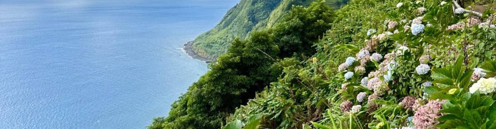 São Miguel Public Transport Bustle