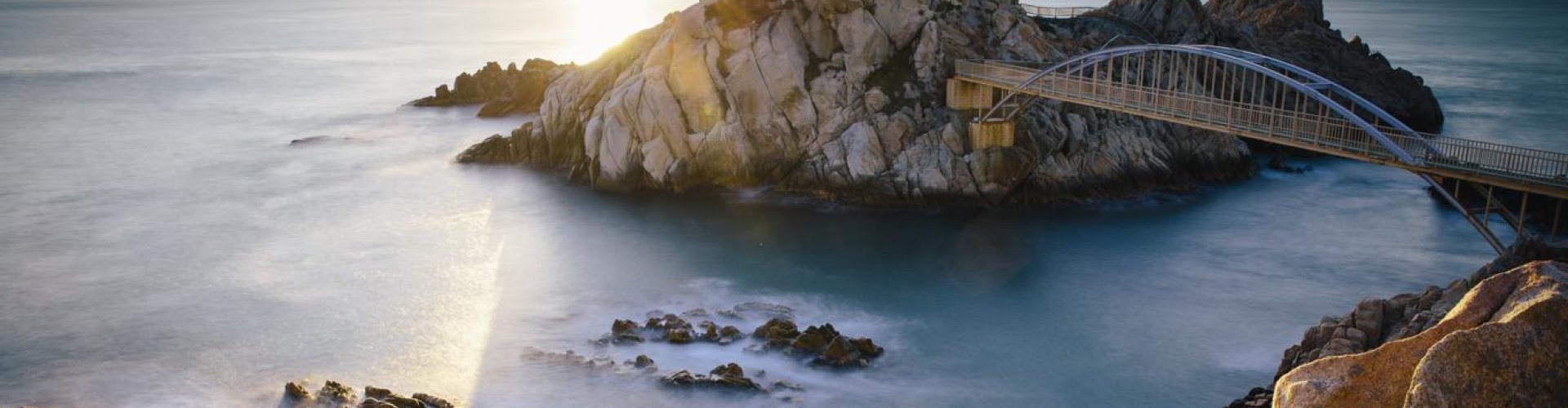 Night tram on cobblestones in Ulsan