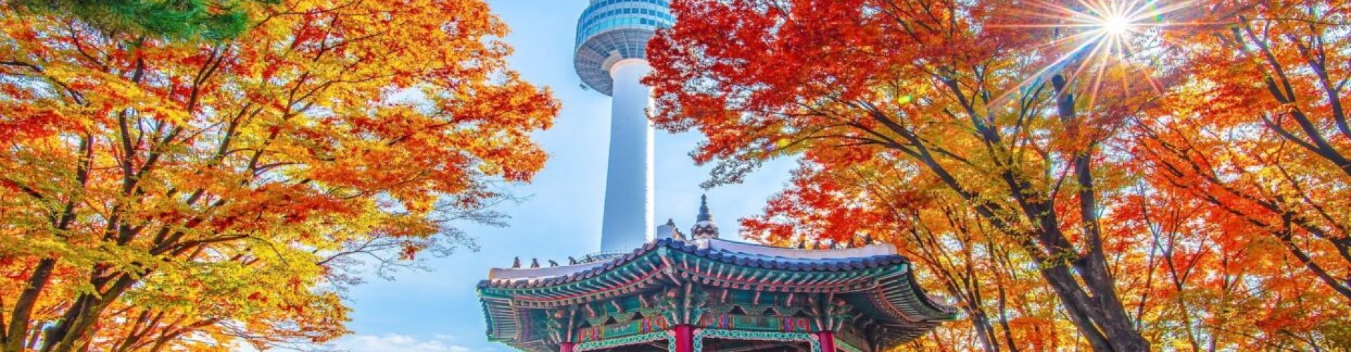 Night tram gliding over cobblestone street in Seoul