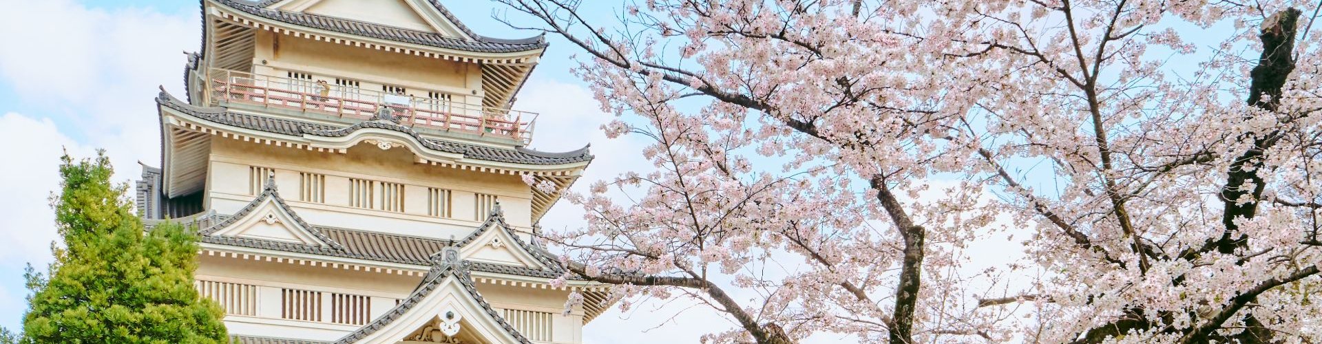 Night tram on cobblestones in Chiba