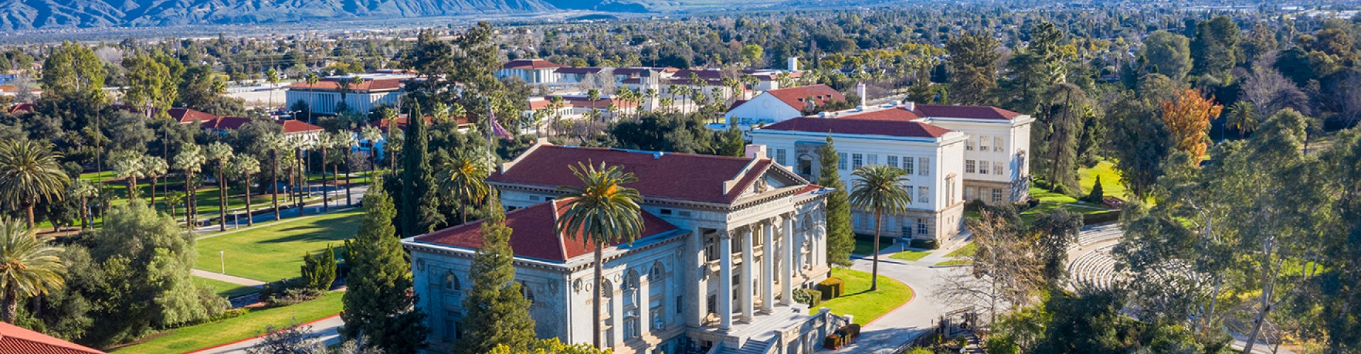 Redlands central tram stop with bustling crowd