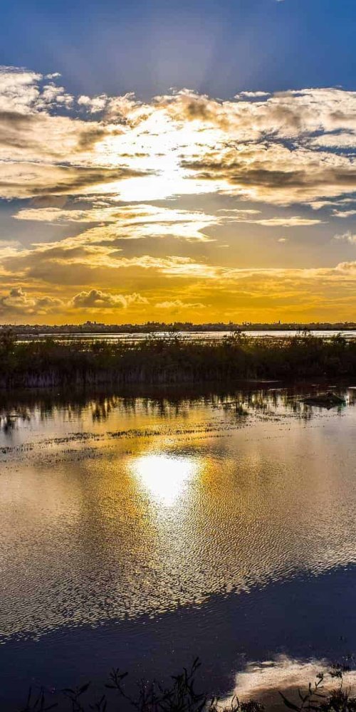 Tram on Paralimni street during off-peak