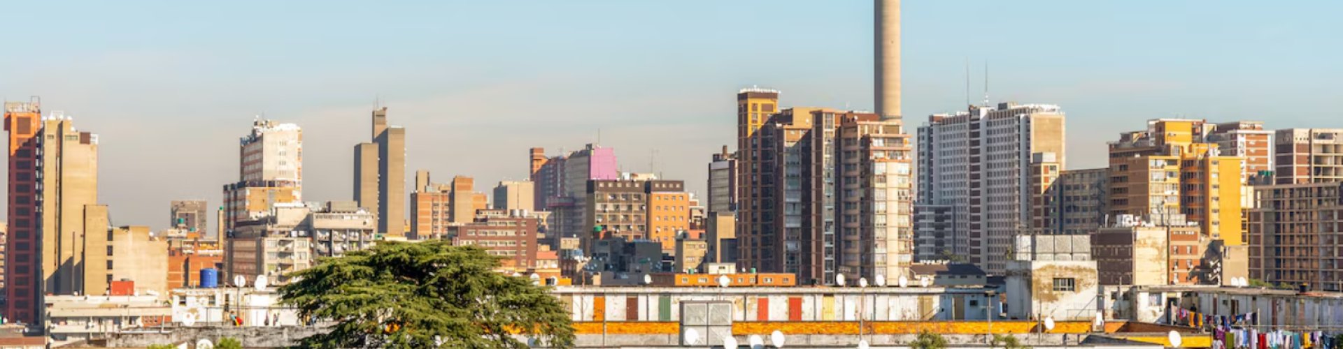 Edenvale public transport morning scene